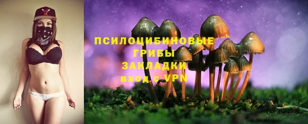 сатива Гусь-Хрустальный