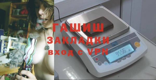 индика Балахна