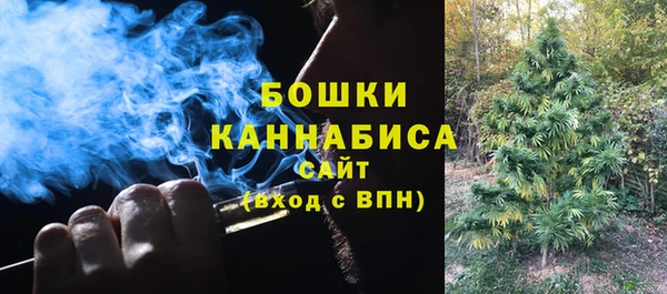 индика Балахна