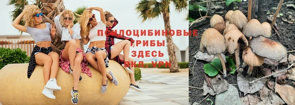 индика Балахна