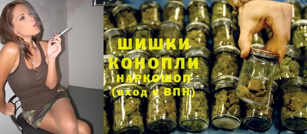 индика Балахна
