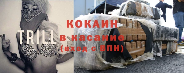 индика Балахна