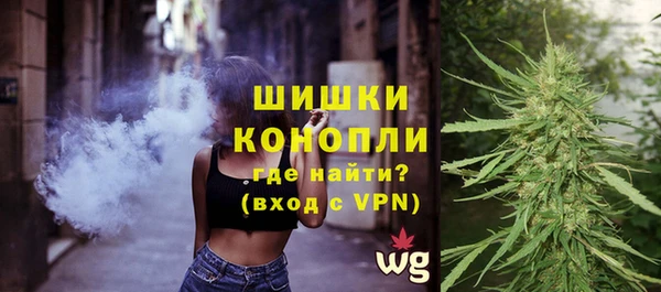 индика Балахна