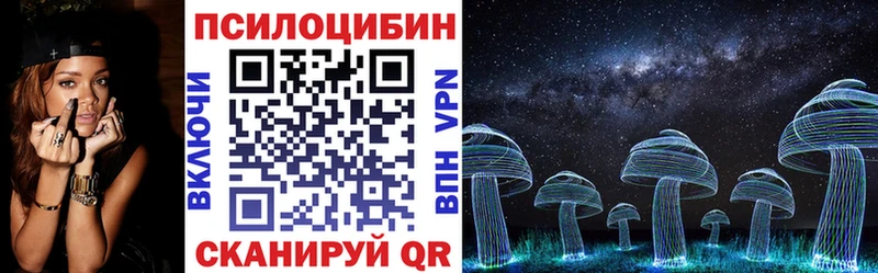 как найти   Белово  Псилоцибиновые грибы Magic Shrooms 