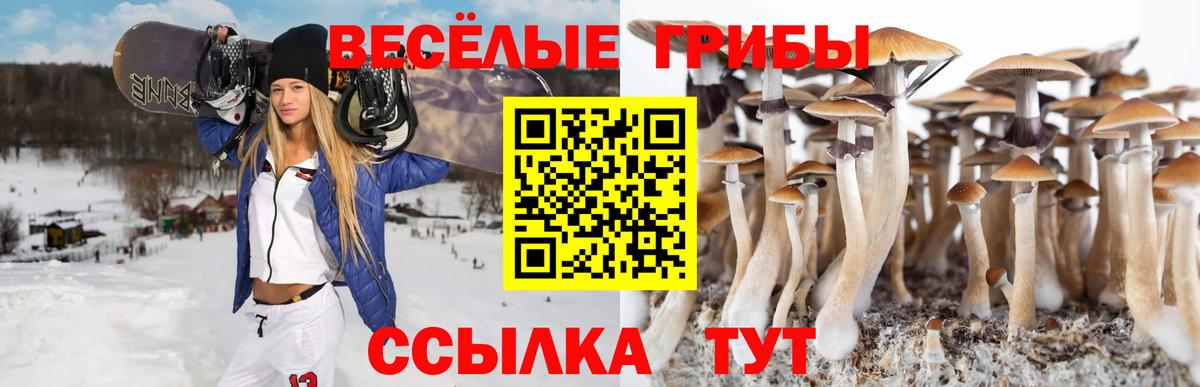 Галлюциногенные грибы Magic Shrooms Белово