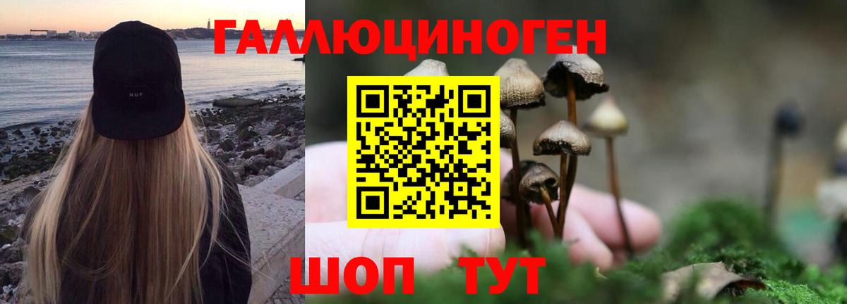 Псилоцибиновые грибы мухоморы  Вход с VPN  закладки  Белово  Галлюциногенные грибы MAGIC MUSHROOMS 