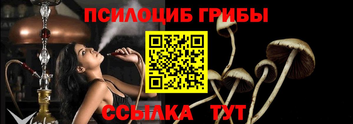 Галлюциногенные грибы GOLDEN TEACHER  Белово 